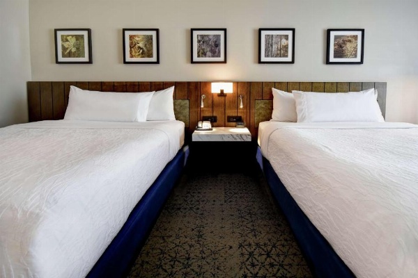 Hilton Garden Inn Jackson image 23